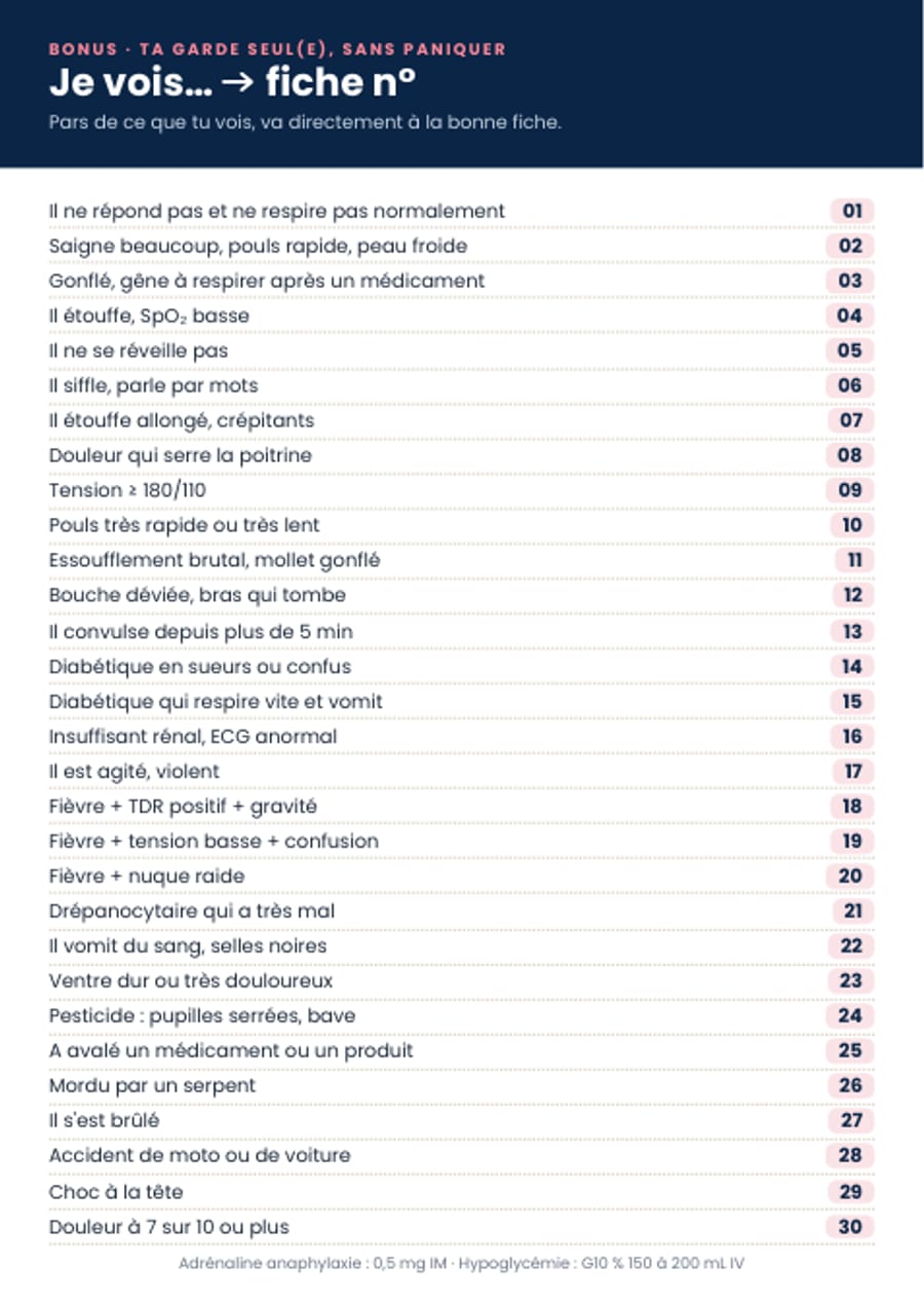 La carte « Je vois… → fiche n° »